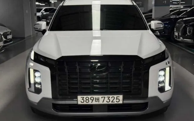 디올뉴팰리세이드 중고차 더 뉴 팰리세이드 디젤 2.2 2WD 매물 사진 12 - 2022/08 118,876km